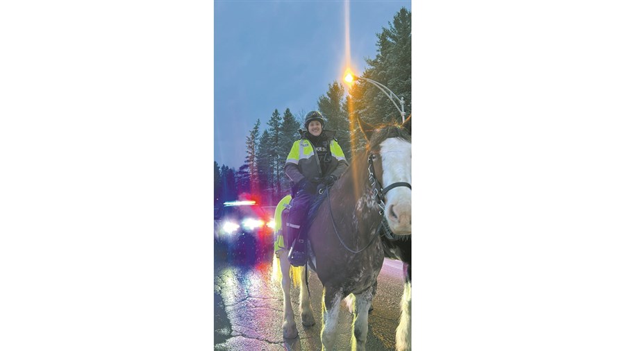 La magie des fêtes s’installe dans la région