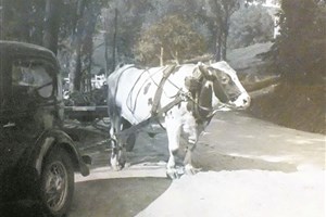 Danville Histoire Culture et Société invite le public à découvrir un pan de l’histoire de la rivière Nicolet 