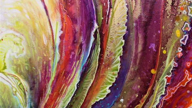 L’organisme RAVIR sera en résidence à Sherbrooke avec son exposition collective