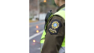 Conduite dangereuse à Danville