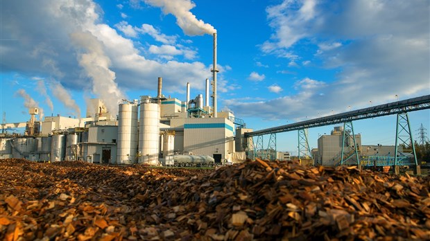 Une simulation de grande ampleur à l’usine Domtar de Windsor