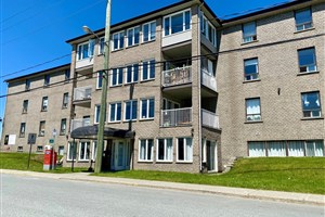 La Ville de Windsor peut difficilement intervenir