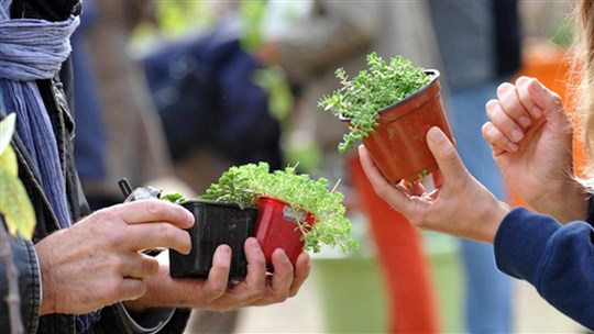 Échange de plants annuel au Marché Champêtre de Melbourne