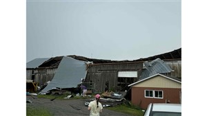 Une tornade qui laissera des traces de son passage encore longtemps à Danville