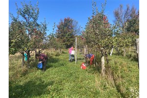 Les récoltes à la Source lancent leur deuxième saison de glanage