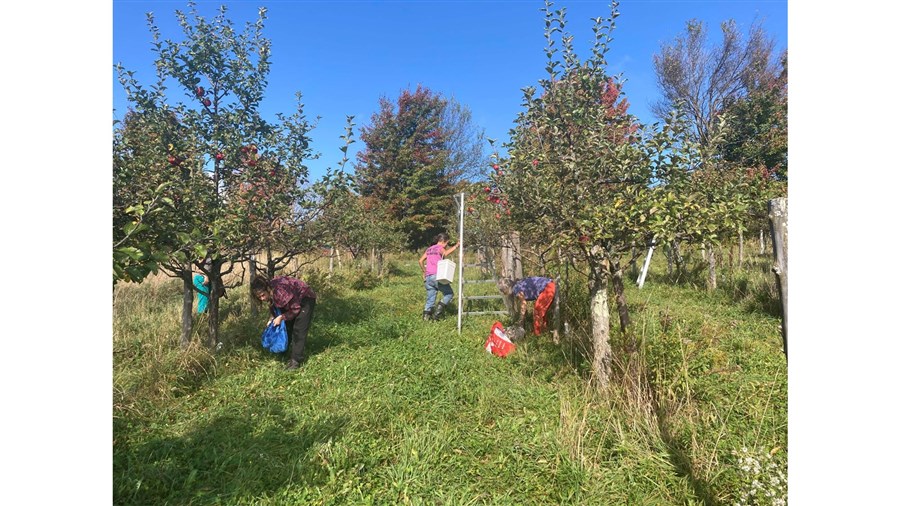 Les récoltes à la Source lancent leur deuxième saison de glanage