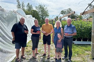 Une première saison de framboises hors-sol pour la bleuetière Le champ bleu de Saint-Adrien