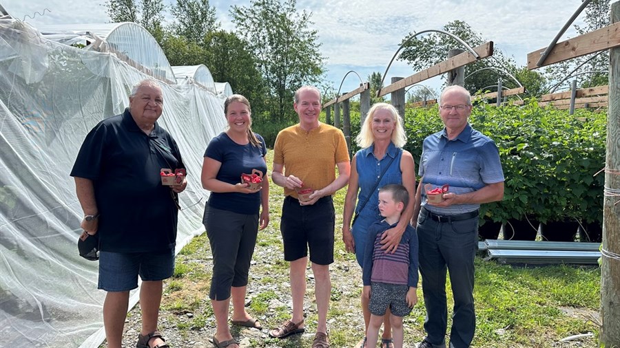 Une première saison de framboises hors-sol pour la bleuetière Le champ bleu de Saint-Adrien