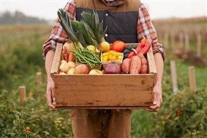 L’UPA présente la 21e édition des Portes ouvertes Mangeons local le dimanche 7 septembre, partout au Québec 