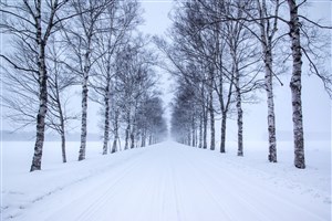 Nouvelle route blanche à Saint-Denis