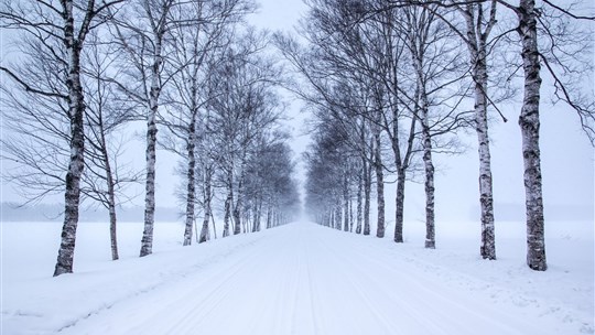 Nouvelle route blanche à Saint-Denis