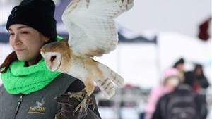 Les oiseaux de proie s’invitent au Carnaval de Saint-Claude