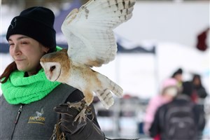 Les oiseaux de proie s’invitent au Carnaval de Saint-Claude