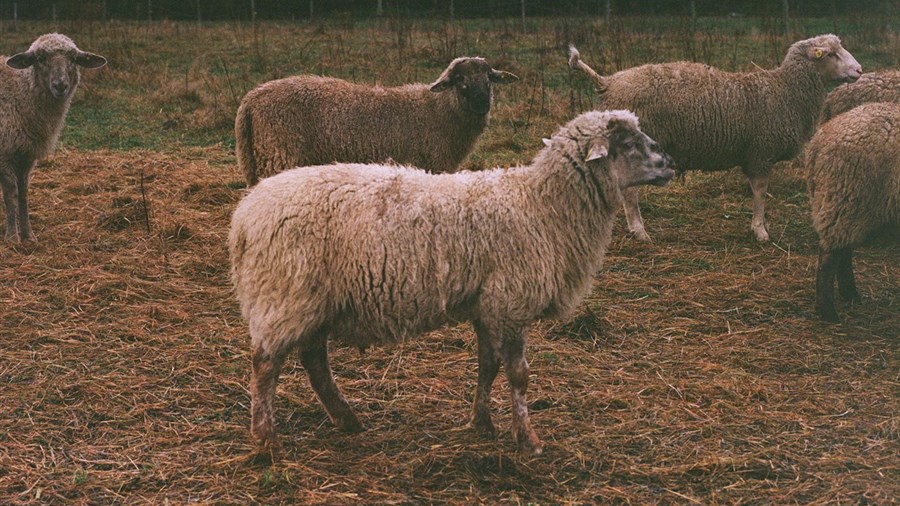 Une série de 20 portraits de producteurs agricoles et forestiers