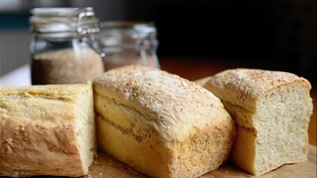 La campagne du Pain partagé des Chevaliers de Colomb présente aux quatre coins de la MRC des Sources
