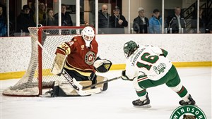 Pas de changement draconien au sein du Desjardins — Wild