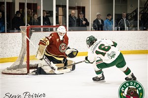 Pas de changement draconien au sein du Desjardins — Wild