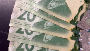 De faux billets de 20 $ en circulation dans les Sources