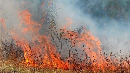 Les pompiers interviennent pour neutraliser un important feu de broussailles à Danville