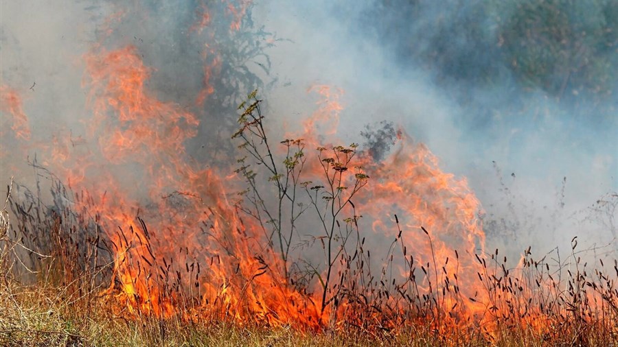 Les pompiers interviennent pour neutraliser un important feu de broussailles à Danville