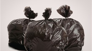 La mystérieuse vie des sacs noirs