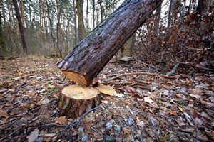 L’accident aurait pu être évité !
