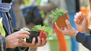 Échange de plants au Marché champêtre de Melbourne