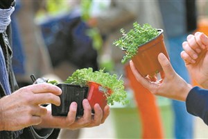 Échange de plants au Marché champêtre de Melbourne