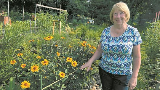 Jardin communautaire : une parcelle de terrain pour 20 $