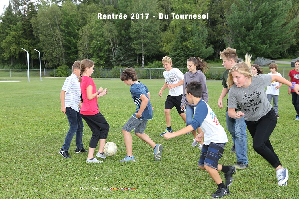 Du Tournesol - Rentrée  2017